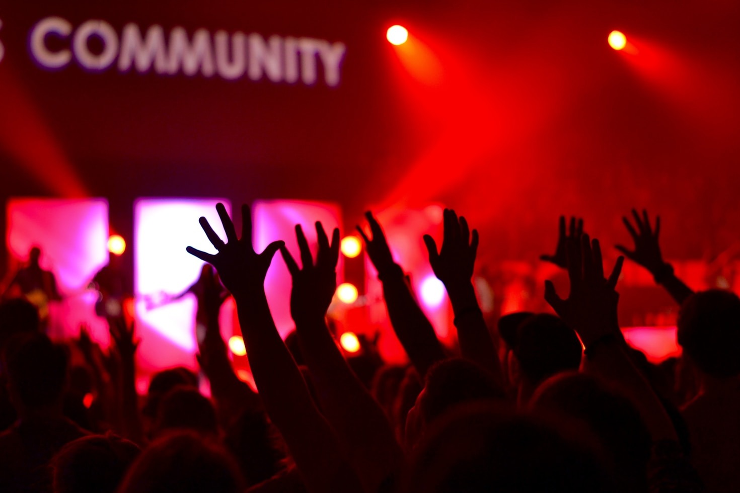 A Weekend Guide to Local Activities